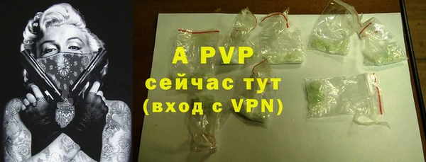 тгк Абаза