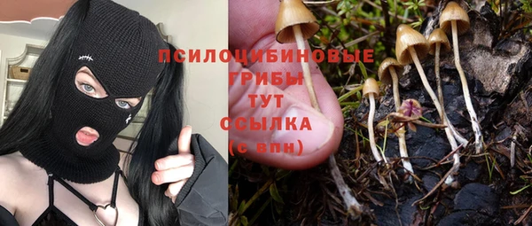каннабис Алексин
