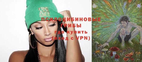 ешки Алзамай