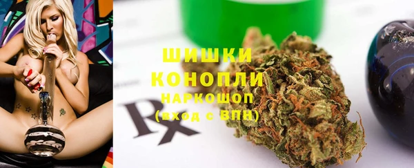 сатива Абинск