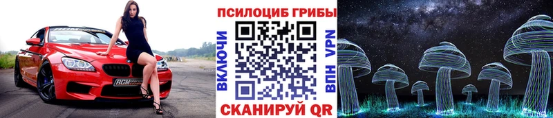 Галлюциногенные грибы Psilocybine cubensis Никольское